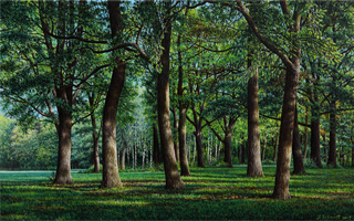 Eichenwäldchen. Augsburg, 2015, 80/50 cm, Öl, Leinwand Bilder und Illustration von Jürgen Schmidt