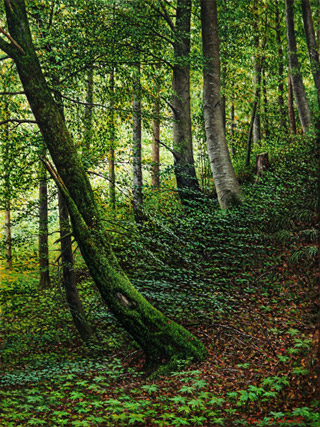 Laubwald in der Nähe von Schongau, 2016, 45/60 cm, Öl, Leinwand Bilder und Illustration von Jürgen Schmidt