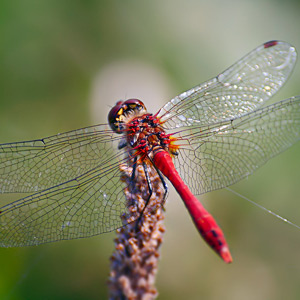 Fotos von Jürgen Schmidt
