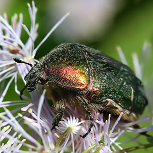 Fotos von Jürgen Schmidt