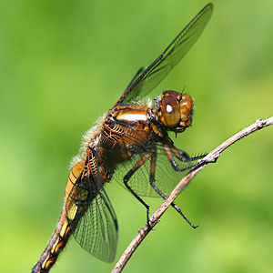 Fotos von Jürgen Schmidt