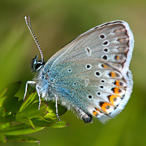 Fotos von Jürgen Schmidt