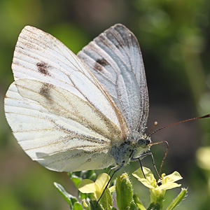 Fotos von Jürgen Schmidt