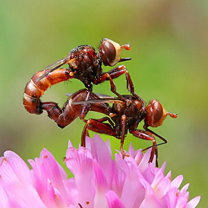 Fotos von Jürgen Schmidt