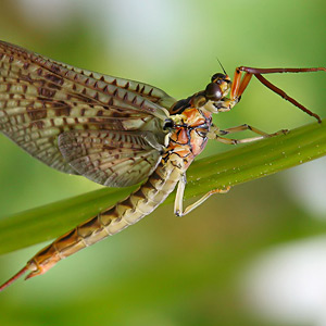 Fotos von Jürgen Schmidt