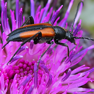 Fotos von Jürgen Schmidt