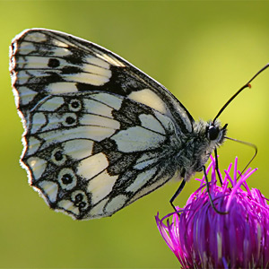 Fotos von Jürgen Schmidt