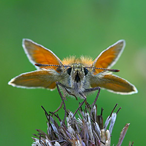 Fotos von Jürgen Schmidt