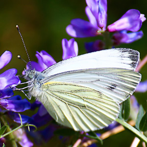 Fotos von Jürgen Schmidt