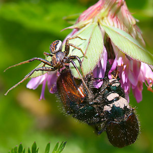 Fotos von Jürgen Schmidt