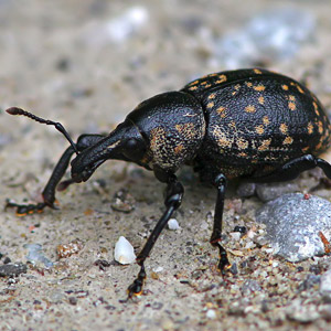 Fotos von Jürgen Schmidt