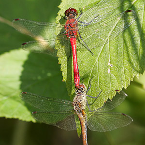 Fotos von Jürgen Schmidt