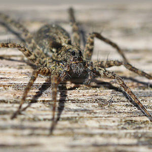 Fotos von Jürgen Schmidt