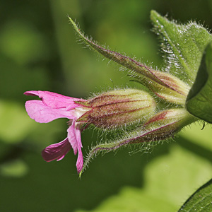 Fotos von Jürgen Schmidt