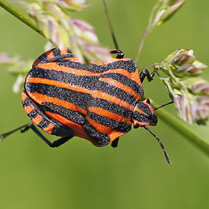 Fotos von Jürgen Schmidt