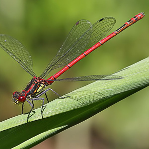 Fotos von Jürgen Schmidt