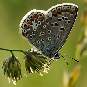 Fotos von Jürgen Schmidt