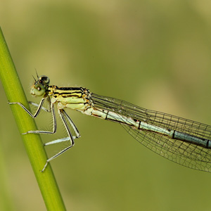 Fotos von Jürgen Schmidt