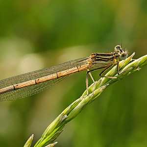 Fotos von Jürgen Schmidt