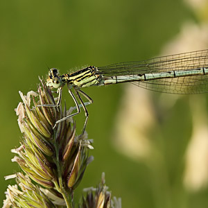 Fotos von Jürgen Schmidt