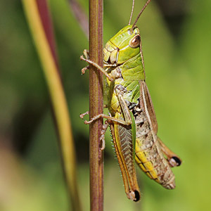 Fotos von Jürgen Schmidt