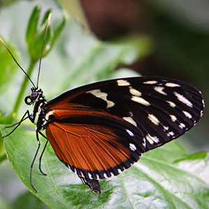 Fotos von Jürgen Schmidt