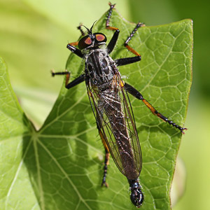 Fotos von Jürgen Schmidt