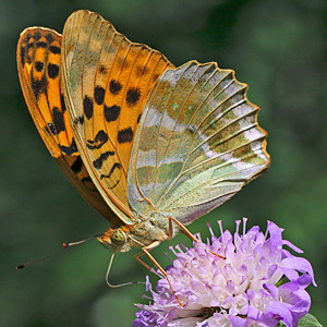 Fotos von Jürgen Schmidt