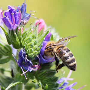 Fotos von Jürgen Schmidt