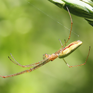 Fotos von Jürgen Schmidt