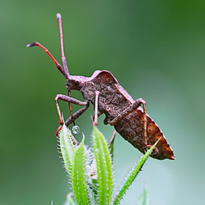 Fotos von Jürgen Schmidt