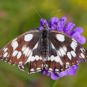 Fotos von Jürgen Schmidt