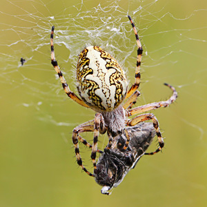 Fotos von Jürgen Schmidt