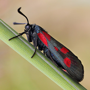 Fotos von Jürgen Schmidt