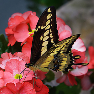 Fotos von Jürgen Schmidt