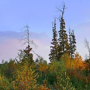 Fotos von Jürgen Schmidt