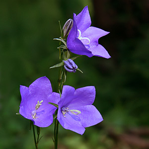 Fotos von Jürgen Schmidt