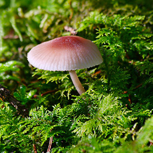 Fotos von Jürgen Schmidt