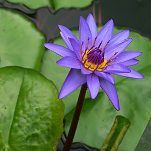 Fotos von Jürgen Schmidt