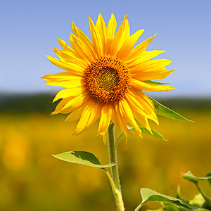 Fotos von Jürgen Schmidt