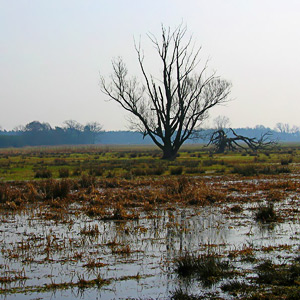 Fotos von Jürgen Schmidt