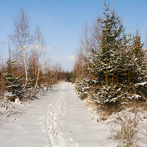 Fotos von Jürgen Schmidt