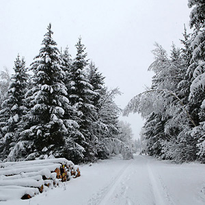 Fotos von Jürgen Schmidt