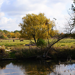 Fotos von Jürgen Schmidt