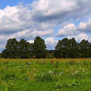Fotos von Jürgen Schmidt