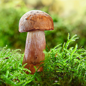 Fotos von Jürgen Schmidt