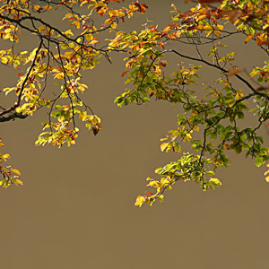 Fotos von Jürgen Schmidt