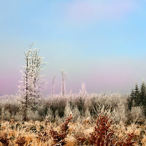 Fotos von Jürgen Schmidt