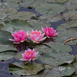 Fotos von Jürgen Schmidt