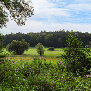 Fotos von Jürgen Schmidt